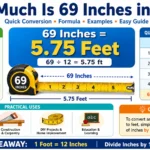 How Much Is 69 Inches in Feet?