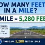 How Many Feet in a Mile?