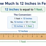 How Much Is 12 Inches in Feet?